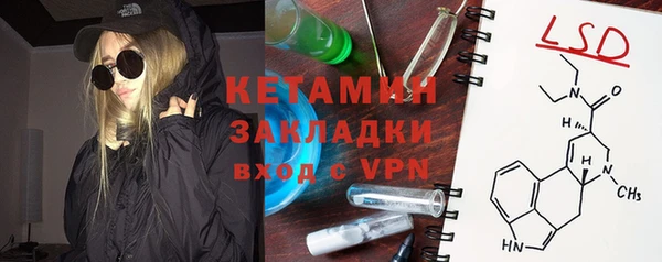 стаф Аркадак