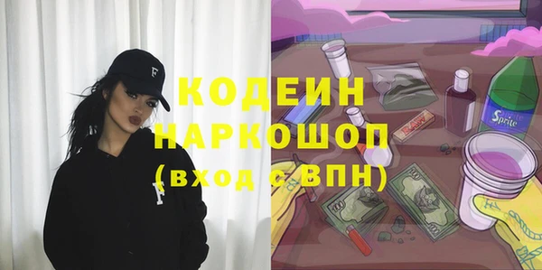 стаф Аркадак