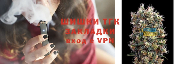 трава Арсеньев