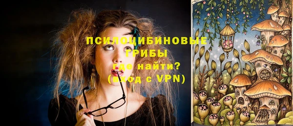 стаф Аркадак