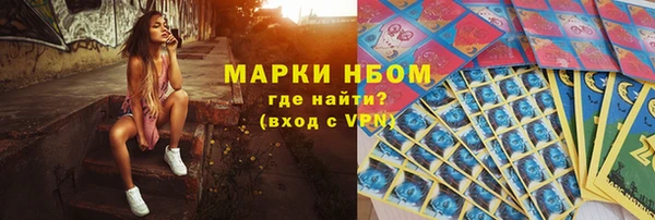 стаф Аркадак