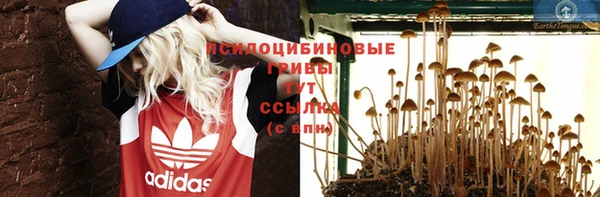 винт Армянск